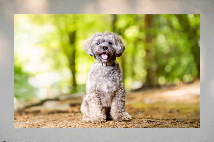 撮影の舞台裏とストーリー