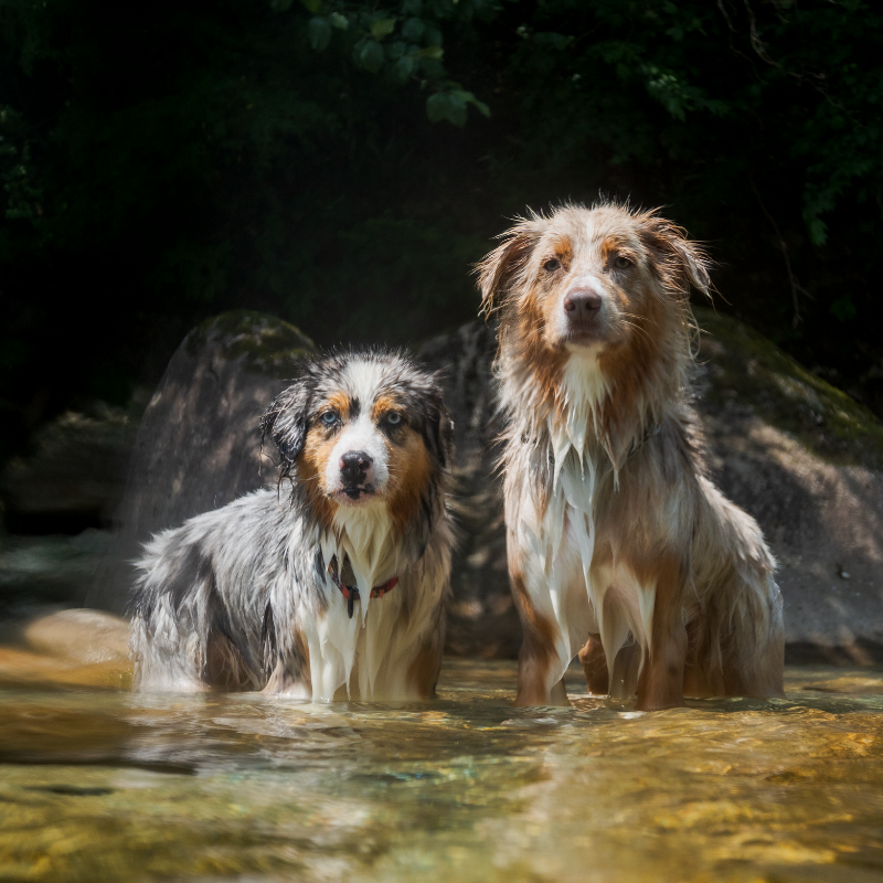 Try1 リアン＆マッシュ