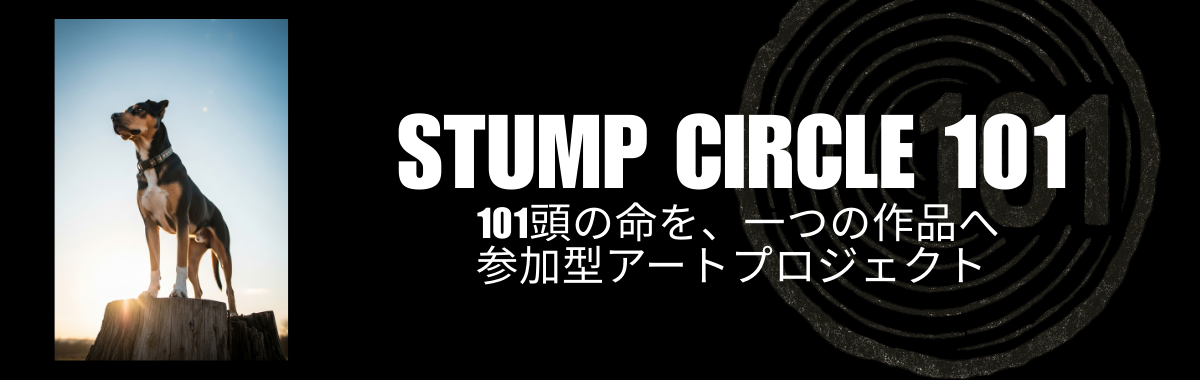 STUMP CIRCLE 101