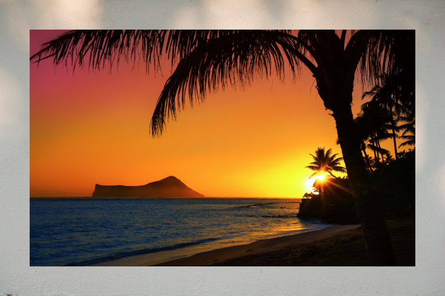 Road to Hawaii