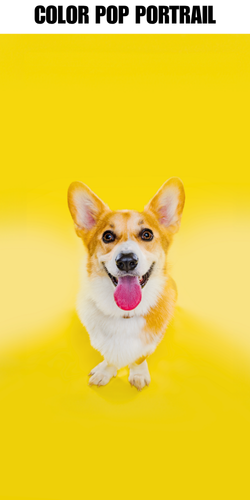ColorPop Portrait