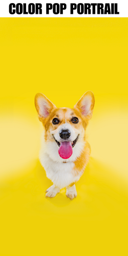 ColorPop Portrait