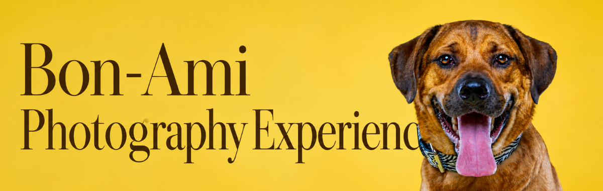 Bon-Ami Photography Experience
