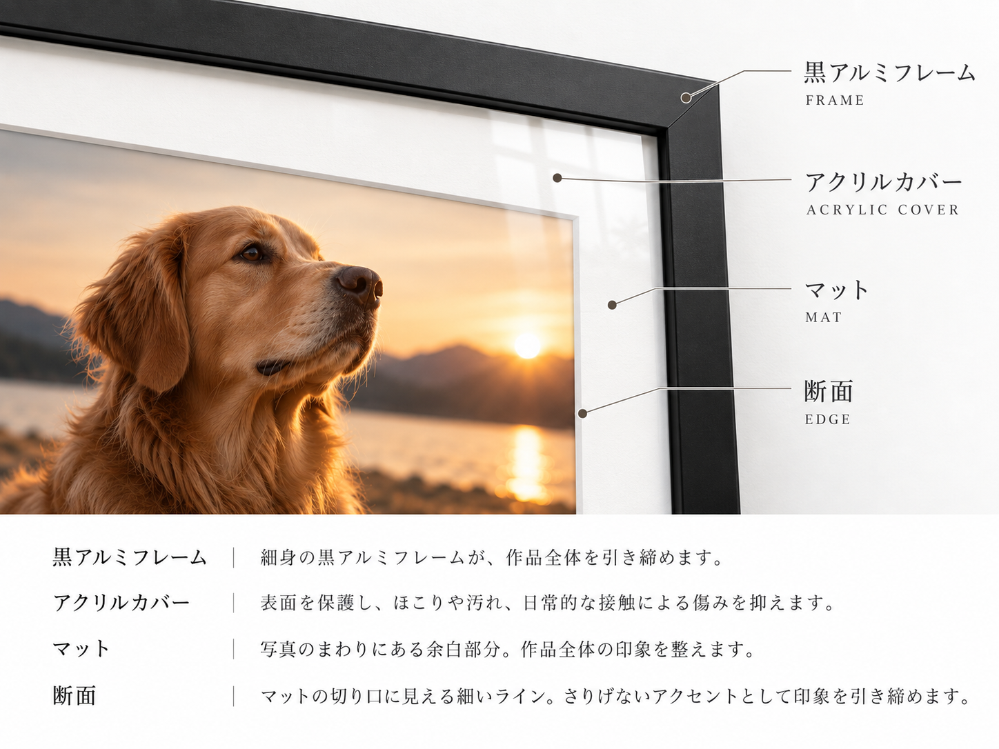 黒アルミフレーム、アクリルカバー、マット、断面を示した額装構造の説明