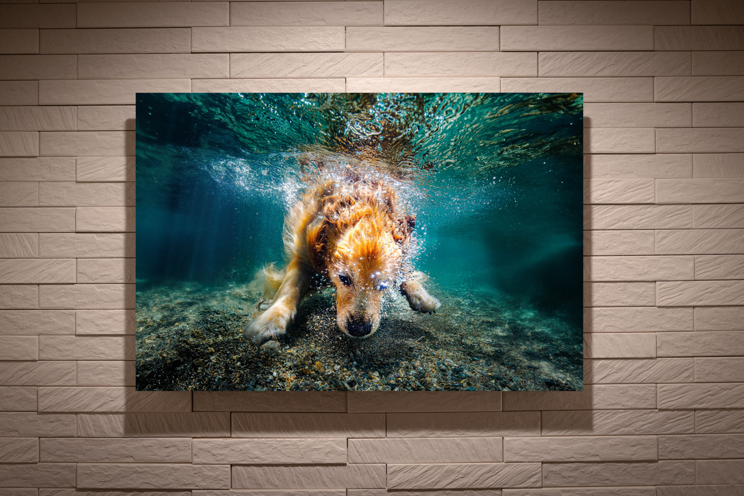 WaterDog.作品を仕立てたアクリルパネルの表面