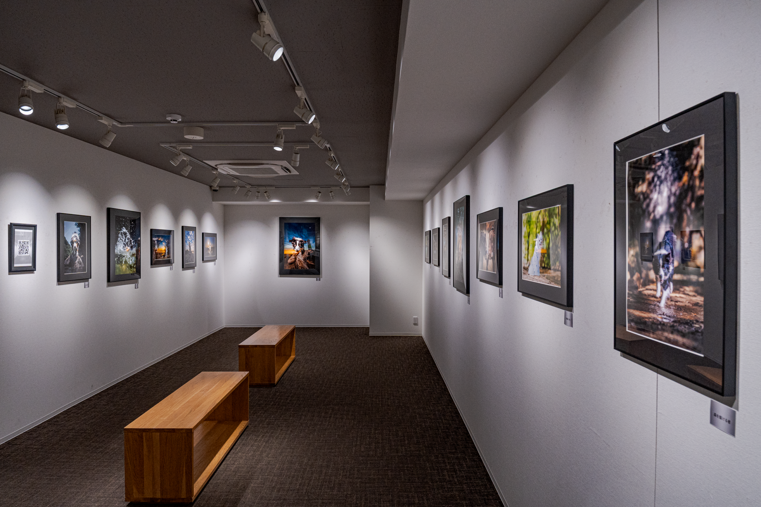 個展『躍動』の展示会場