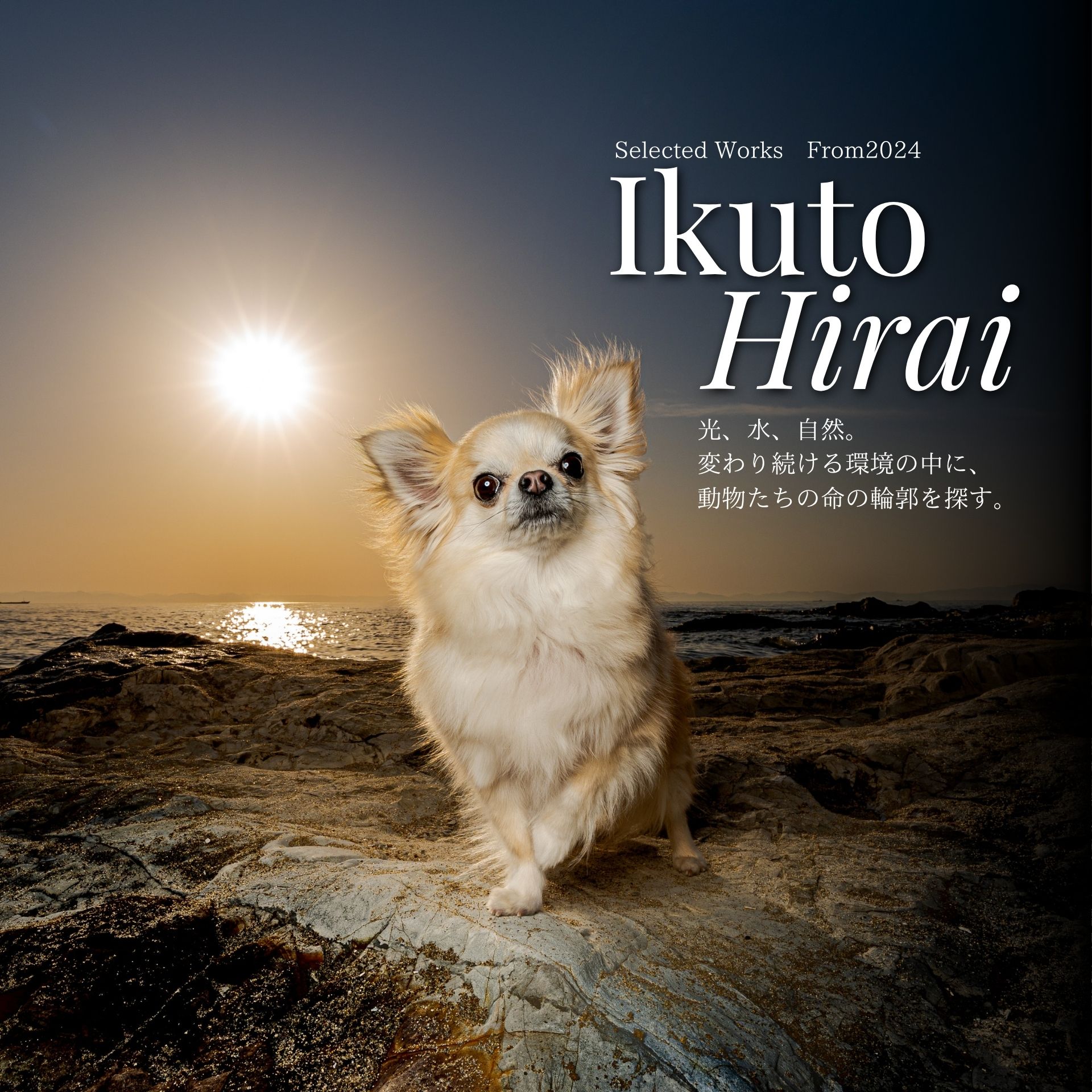 Ikuty Photoの作品集