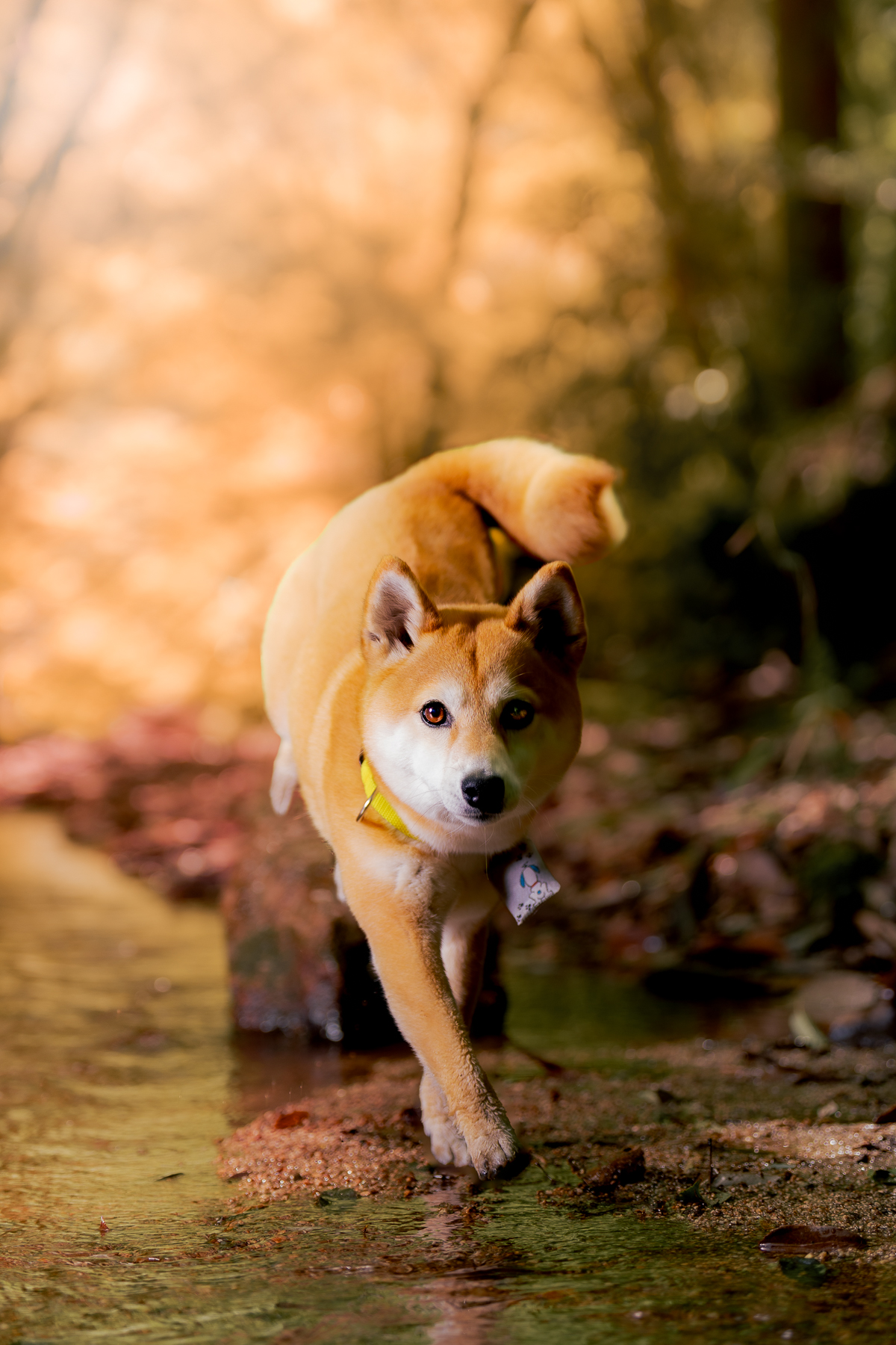 PHOTO SESSION 作品05